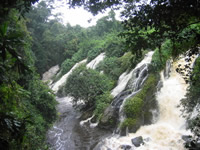 The spectacular Memve'ele waterfalls bordering the Campo Ma'an National Park, Cameroon. / ©: WWF-Canon / Olivier van Bogaert / ©: WWF-Canon / Olivier van Bogaert