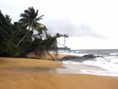 The beach of Ebodje. Each year, from November to January, four marine turtle species (loggerhead, ... / ©: WWF-Canon / Olivier van Bogaert The beach of Ebodje. Each year, from November to January, four marine turtle species (loggerhead, ... / ©: WWF-Canon / Olivier van Bogaert