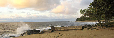The beach of Kribi, Kribi, Cameroon, September 2004 / ©: WWF-Canon / Olivier van Bogaert The beach of Kribi, Kribi, Cameroon, September 2004 rel=