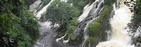 The spectacular Memveele waterfalls, on the edge of Campo-Maan National Park, Buffer zone of ... / ©: WWF-Canon / Olivier van Bogaert The spectacular Memveele waterfalls, on the edge of Campo-Maan National Park, Buffer zone of ... rel=