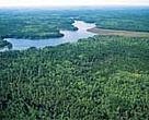 Aerial view of Canadian forests.