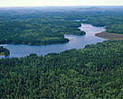 Aerial view of northern Canadian forest.