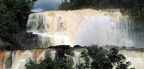 Waterfalls and rainforest, Canaima National Park, Venezuela. / ©: WWF-Canon / Bruno PAMBOUR rel=