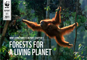Living Forests: Chapter 1 / ©: WWF - Mediterrâneo / ©: WWF - Mediterrâneo