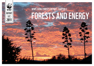 Living Forests: Chapter 2 / ©: WWF - Mediterrâneo / ©: WWF - Mediterrâneo