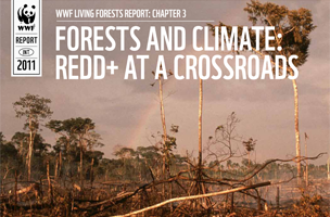   / &copy;: WWF - Mediterrâneo