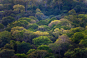  / &copy;: Brent Stirton / Getty Images / WWF-UK