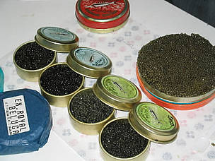 Caviar – the processed, salted roe of certain fish species, most notably sturgeon – is ... / ©: WWF-Canon / Emma Duncan / ©: WWF-Canon / Emma Duncan
