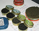Caviar &ndash; the processed, salted roe of certain fish species, most notably sturgeon &ndash; is commercially marketed worldwide as a delicacy. 