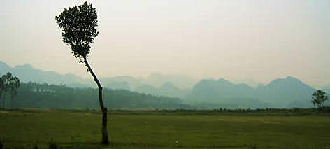 Central Annamites in the distance / ©: WWF Central Annamites in the distance rel=
