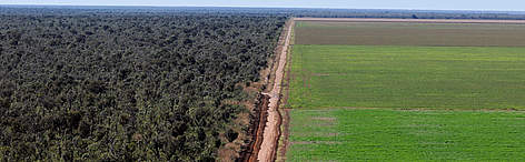 Aerial view of an unpaved road dividing a soy (Glycine max) monoculture from the native Cerrado, in ... / ©: Adriano Gambarini / WWF-Brazil rel=