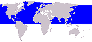 Minke whale range / ©: Wikipedia Minke whale range / ©: Wikipedia
