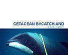 Report: Cetacean bycatch and the IWC