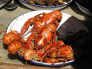 Cooked crayfish / ©: WWF / Marjolein Kamermans / ©: WWF / Marjolein Kamermans
