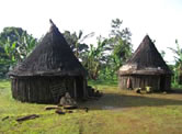 Typical Bakossi compound on the slopes of the mountain. / ©: WWF-Canon / WWF-CARPO / Peter Ngea Typical Bakossi compound on the slopes of the mountain. / ©: WWF-Canon / WWF-CARPO / Peter Ngea