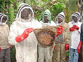 Set for action: More honey more money! / ©: WWF-Canon / WWF-CARPO / Peter Ngea Set for action: More honey more money! / ©: WWF-Canon / WWF-CARPO / Peter Ngea