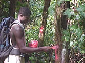 Marking out the limits of the proposed Kupe reserve / ©: WWF-Canon / WWF-CARPO / Peter Ngea Marking out the limits of the proposed Kupe reserve / ©: WWF-Canon / WWF-CARPO / Peter Ngea