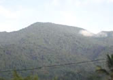 Rare sight! Mount Kupe as seen from Nyassoso village. / ©: WWF-Canon / WWF-CARPO / Peter Ngea Rare sight! Mount Kupe as seen from Nyassoso village. / ©: WWF-Canon / WWF-CARPO / Peter Ngea