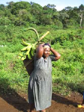 Home with a juicy plantation harvest near Nyassoso village / ©: WWF-Canon / WWF-CARPO / Peter Ngea Home with a juicy plantation harvest near Nyassoso village / ©: WWF-Canon / WWF-CARPO / Peter Ngea