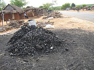 Selling charcoal at the edge of the road / &copy;: WWF / Martina Lippuner