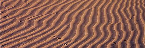 Sand dunes, Chihuahua Desert, Mexico. / ©: Edward Parker / WWF-Canon rel=