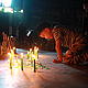 &copy; WWF Thailand