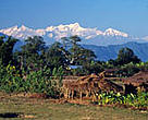 Located in the shadow of the Himalayas, the Terai Arc is home to a wide range of wildlife, including rhinos and tigers, as well as 6 million people.