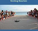 Front page
