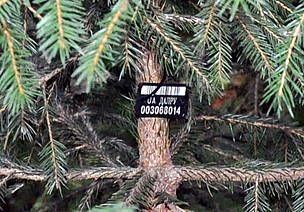 / &copy;: Forestry of Ukraine