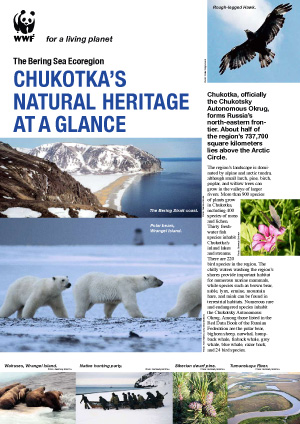 Chukotka's Natural Heritage