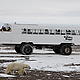 This photo shows how close the scientists were able to get to the polar bears while working on the Tundra Buggy project near Churchill, Manitoba on the Hudson Bay in Canada. © Geoff YORK / WWF International From the Tundra Buggy® Lodge and made possible by Polar Bears International