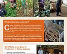 Cover for Sustainable Rattan project