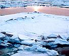 Climate change is hitting the Arctic faster and harder than previously thought, according to a new WWF report.