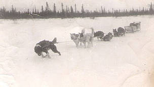 Steven Attla’s dog team in Huslia, Alaska in the winter of 1948. / ©: Steve Attla Steven Attla’s dog team in Huslia, Alaska in the winter of 1948. / ©: Steve Attla