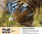 Inside the HImalayas, WWF Nepal newsletter - October 2010