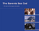 report cover