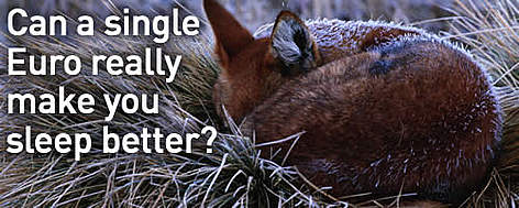 Ethiopian Wolf (Canis simensis) sleeping & covered by early morning frost, Ethiopia. / ©: WWF-Canon / Martin Harvey Can a single Euro really make you sleep better? rel=