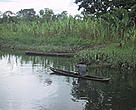 Navigating the waters of the Raposo river in Colombia's Chocó-Darién Moist Forest ecoregion.