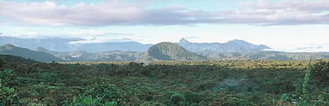 View of cloud forest, southern Colombia. / ©: WWF-Canon / Edward PARKER View of cloud forest, southern Colombia. rel=
