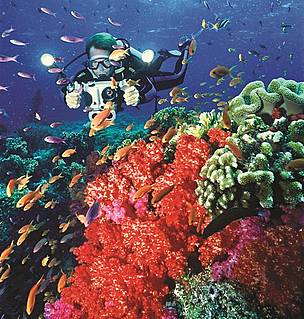 / ©: WWF-SPPO / ©: WWF-SPPO