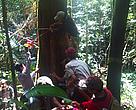 Community carbon measurment in Batu Majang
