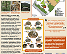 How community based management of rattan contributes to conservation cover