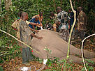 / &copy;: WWF CARPO/Peter Ngea