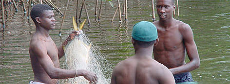 A local association of fishermen in Gamba, Gabon, controls fishing nets, and keeps track of the ... / ©: WWF CARPO/Bas Huijbreghts rel=