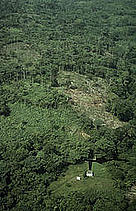  / &copy;: WWF-Canon / Sandra MBANEFO OBIAGO