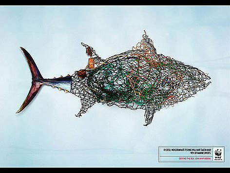 Fish / fishing net. WWF Spain / ©: WWF rel=