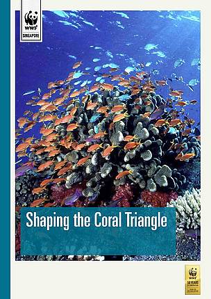 Shaping the coral triangle / ©: WWF Singapore Shaping the coral triangle / ©: WWF Singapore