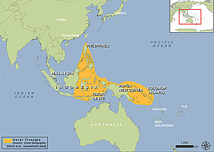 Map of the Coral triangle / ©: WWF Global / ©: WWF Global