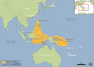  / &copy;: Coral Geographic (Veron et al unpublished data).