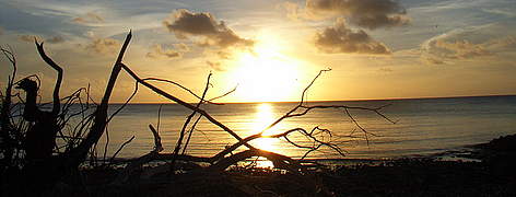 Sunset from uninhabited Cosmeledo. An island just north of Madagascar. Part of the Seychelles / ©: WWF rel=